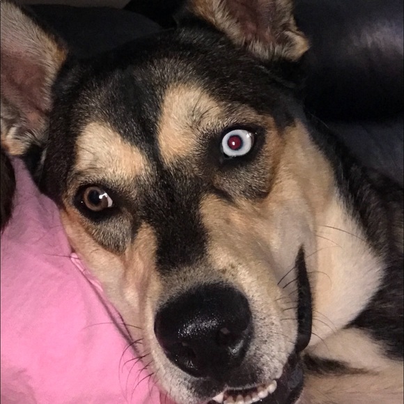 Please read before you make a purchase! - Picture 3 of 3